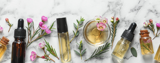 Get To Know the Ingredients Used in Our Natural Skincare